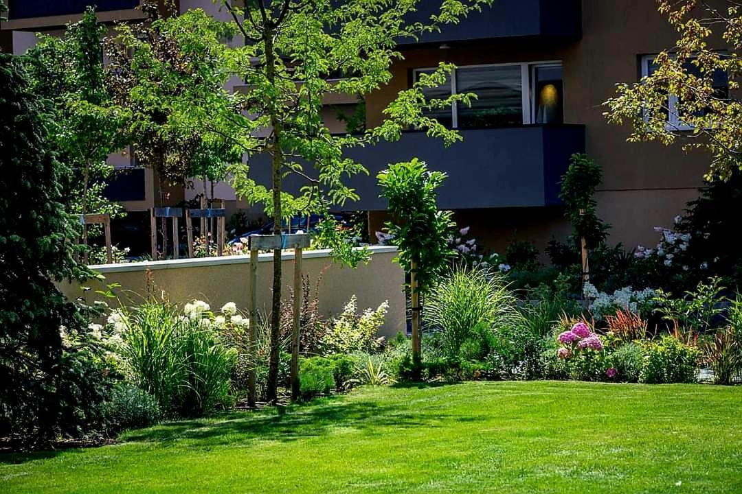 Ama By Melis Apartment Brașov Exterior foto
